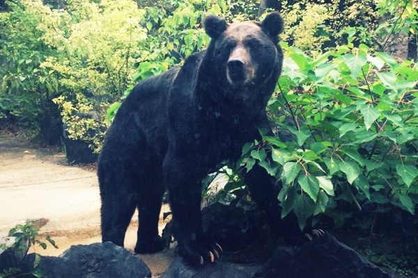 東山こどもガイド